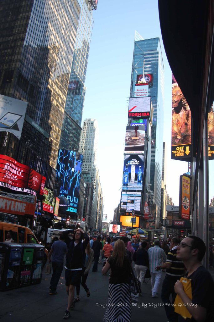Times Square was also near our hotel. Just about every day we walked through this busy, and very crowded area. Even though it's crowded, annoyingly noisy and chaotic, it is an experience people shouldn't miss! It's the true vibration of the city!