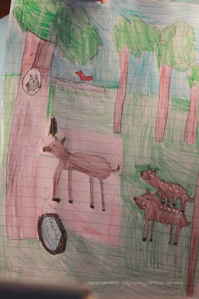Riley Jo drew this the very first day she arrived. She and great-grandma had spotted Daisy with her twins down at the feeder and water tub.