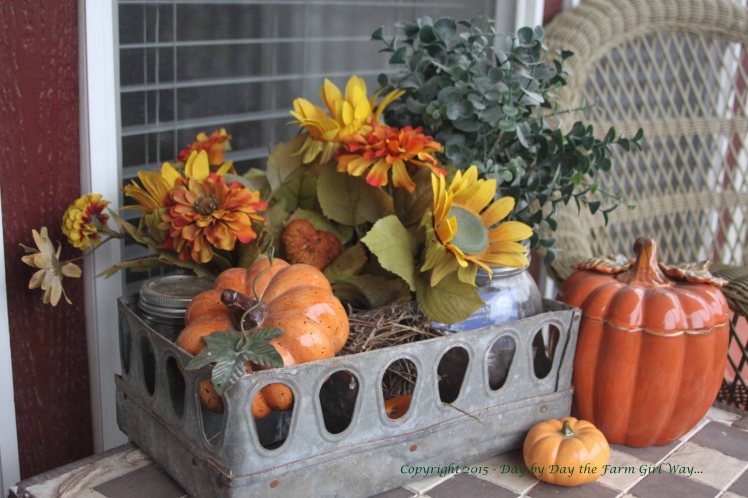 I reuse and repurpose a lot of items. The metal container was part of an old incubator found in the poultry barn. The flowers were worn out freebies from a neighbor, and the little ceramic pumpkins cost me $1 at a garage sale. This autumn display sits on the front porch table.