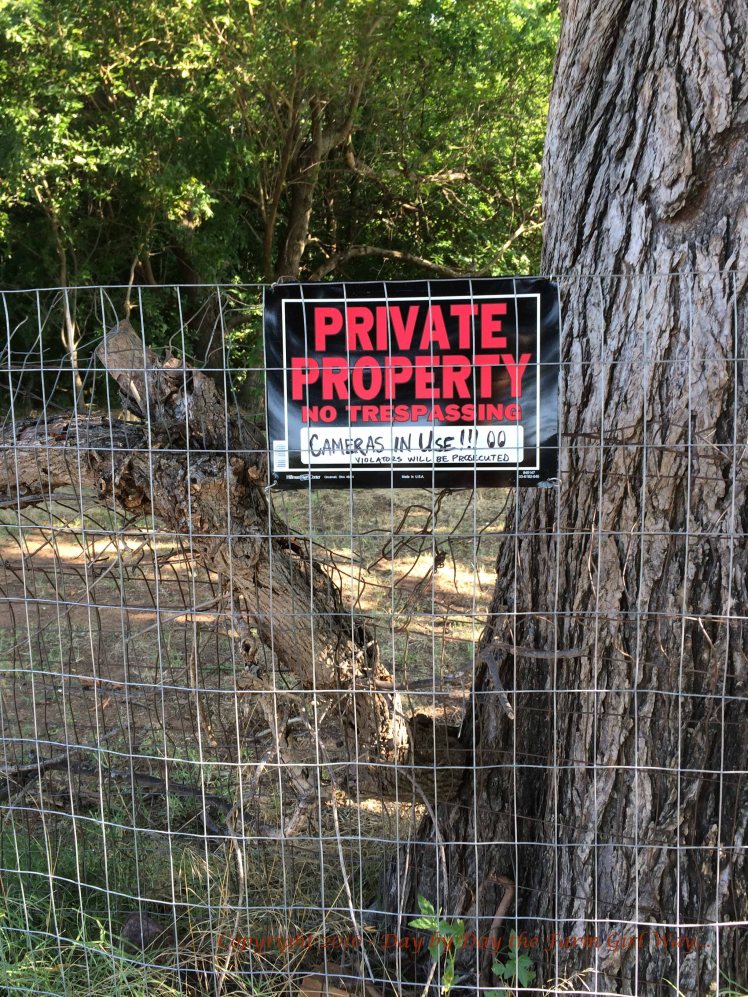 Location of second cut, right beside a large elm tree. It is a good thing we keep plenty of Private Property signs on hand!